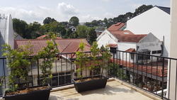 Windsor Park (D20), Terrace #137262962